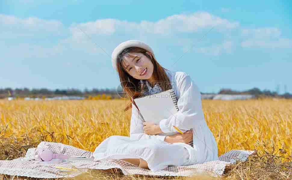 站群软件有哪些